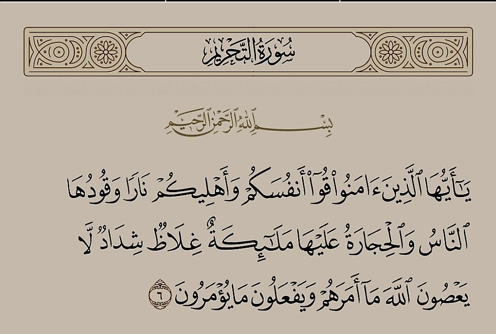 Muhammad MX2 tweet media