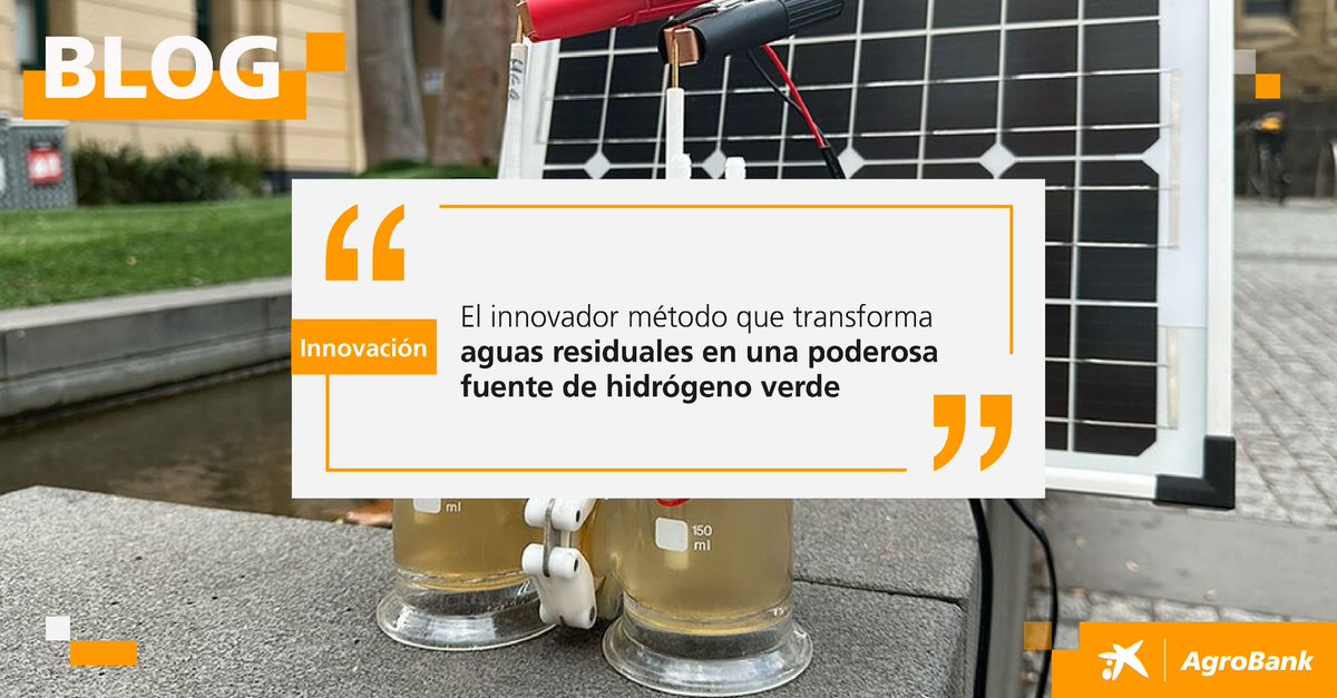 AgroBank_CABK's tweet photo. 🔬 En Australia, convierten un problema en solución: investigadores de @RMIT usan metales contaminantes de aguas residuales para producir hidrógeno verde, sin necesidad de agua purificada. Innovación que limpia y energiza.

Más detalles en https://t.co/BL8siqgH7h

#AgroBlog https://t.co/1uCPoSDiU7
