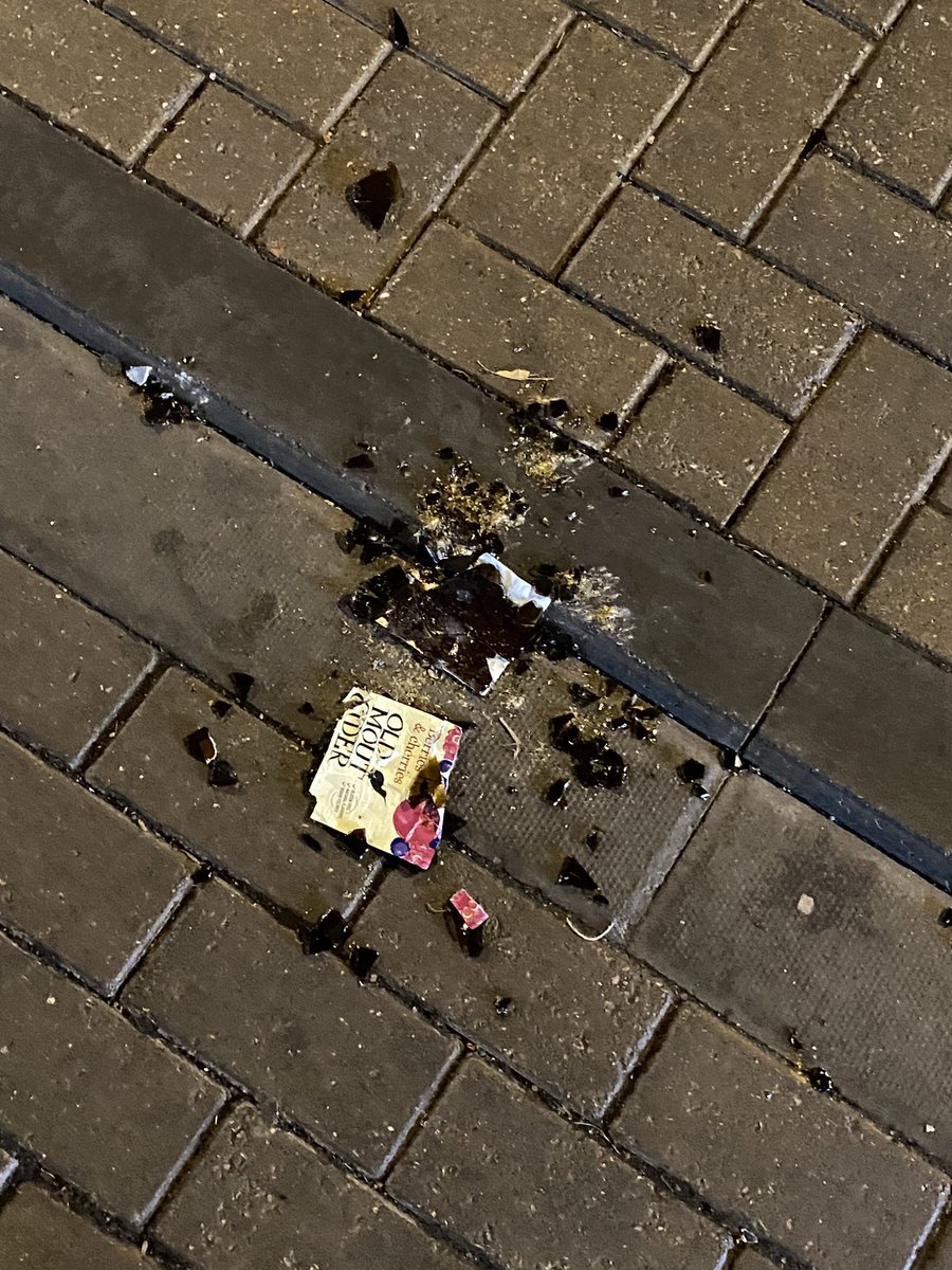 Lenihatcher's tweet image. Hi @AshL93 there is so much broken glass under the bridge between fitzhammond &amp;amp; Taffs Mead Embankment’s Bridge (the underpass) that I had to carry my dog this morning on the way to my son’s nursery. Please Help