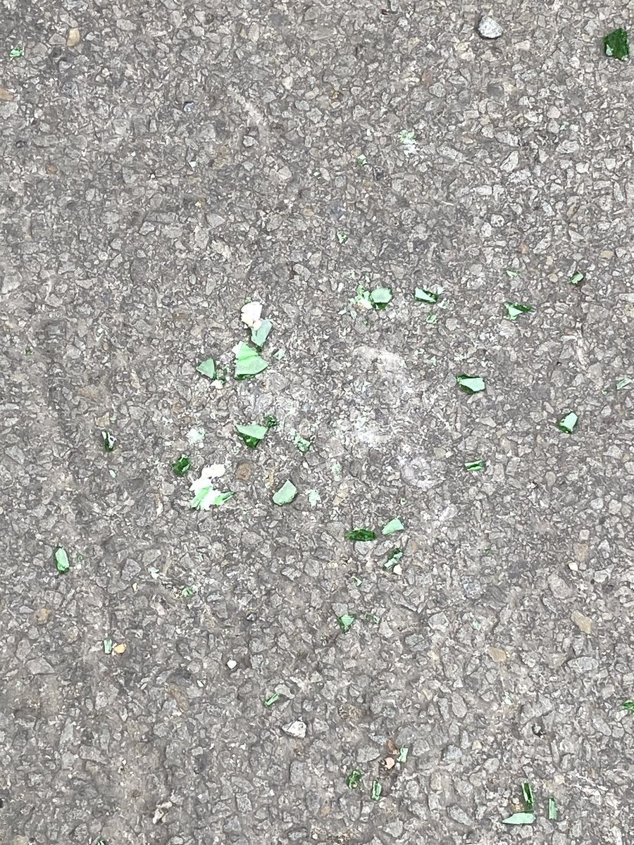 Lenihatcher's tweet image. Hi @AshL93 there is so much broken glass under the bridge between fitzhammond &amp;amp; Taffs Mead Embankment’s Bridge (the underpass) that I had to carry my dog this morning on the way to my son’s nursery. Please Help