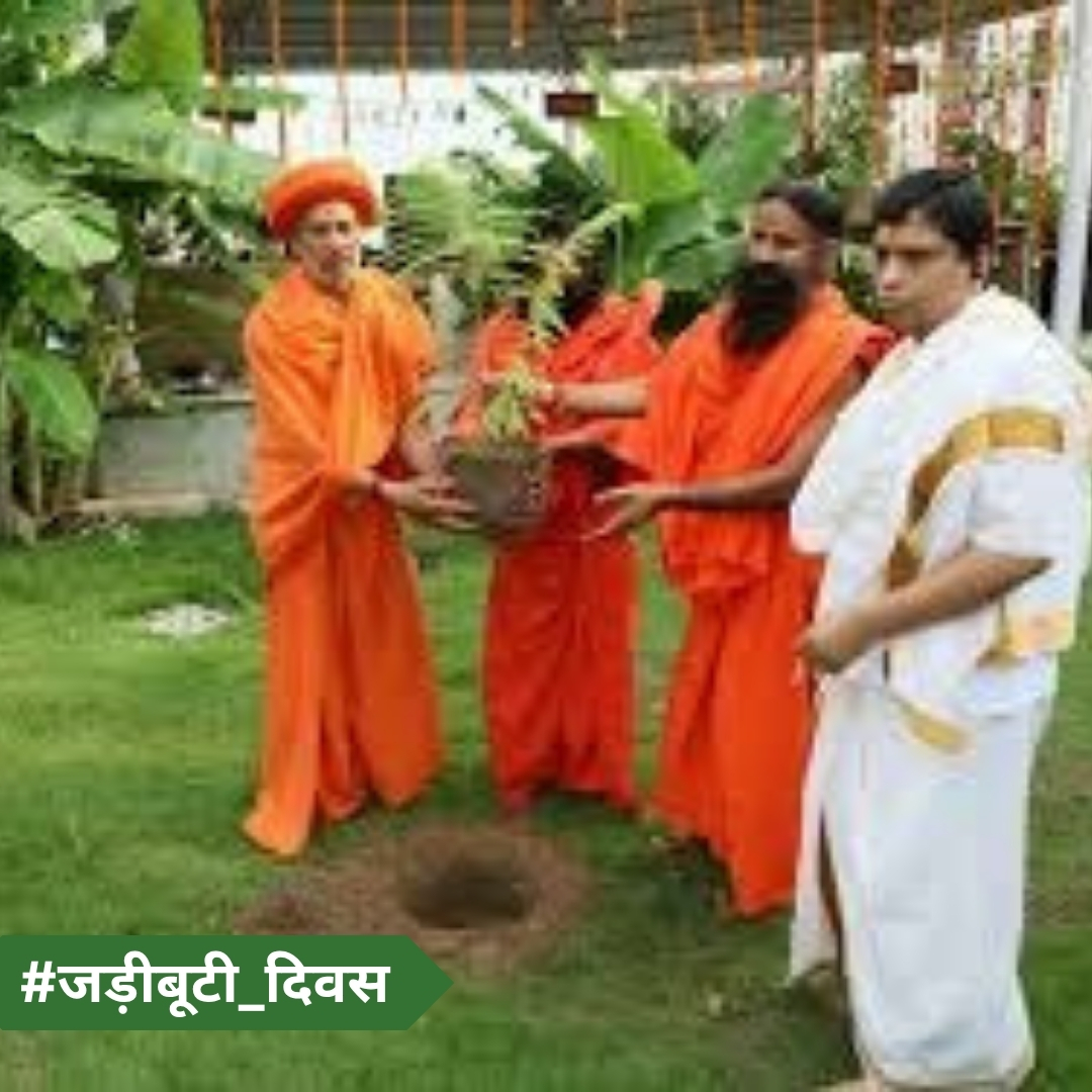 1997 में यह उच्च भावना के साथ एक महान प्रयास बहुमूल्य औषधी पौधा एकत्र करने के लिए और गार्डन में विकसित करने के लिए वनस्पति विज्ञान और कृषि और स्वयं सेवक के एक नंबर से वैज्ञानिकों के एक दल ने अनुसंधान और प्रबंधन के लिए लगे हुए हैं।
#जड़ीबूटीदिवस
Acharya BalkrishnaJi Maharaj