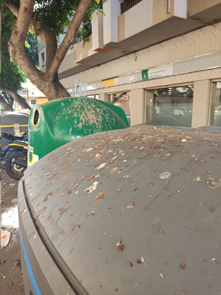 #PorrasYoNoMiento