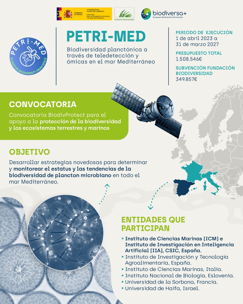 Fundación Biodiversidad (@fbiodiversidad) on Twitter photo 📡 Mediante teledetección con imágenes por satélite el proyecto Petri-Med monitorea el estatus y tendencias de la #biodiversidad de plancton microbiano.
📍 Mediterráneo
🇪🇺 Financia <a href="/BiodiversaPlus/">Biodiversa+ (European Biodiversity Partnership)</a> | #BiodiversaPlus
ℹ️ Más info 👉 fundacion-biodiversidad.es/proyecto_biodi… 📡 Mediante teledetección con imágenes por satélite el proyecto Petri-Med monitorea el estatus y tendencias de la #biodiversidad de plancton microbiano.
📍 Mediterráneo
🇪🇺 Financia <a href="/BiodiversaPlus/">Biodiversa+ (European Biodiversity Partnership)</a> | #BiodiversaPlus
ℹ️ Más info 👉 fundacion-biodiversidad.es/proyecto_biodi…