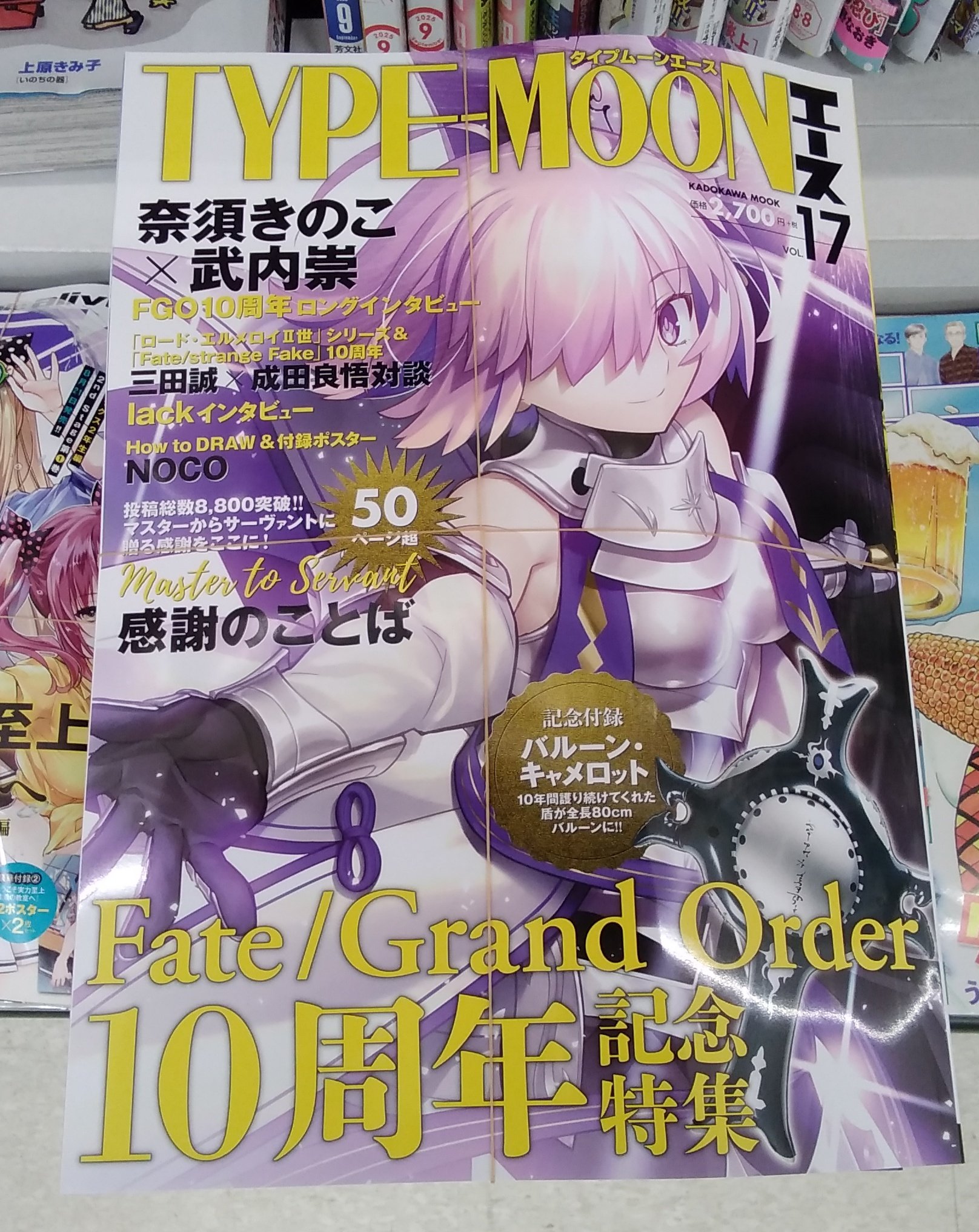 ★両面★ Fate Grand Order  販促ポスター　TYPE-MOON Type-Moon Ace Vol.12 Magazine (FGO Servant Storage II