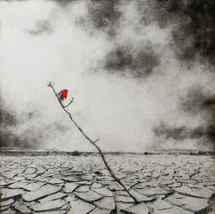 ؛؛

سراب ..
نسمة صيف ..
تبحث عن منافي الظلال ..
وضلوع هذيان إتجاهات النسيان ..
لعل صوت الناي يطرب مزاج الرحى ...

#نبض_الوجد                   

؛؛