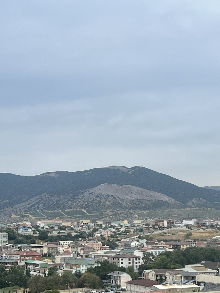 MiniLenin 🫶🏻 (@mini_lenin) on Twitter photo 