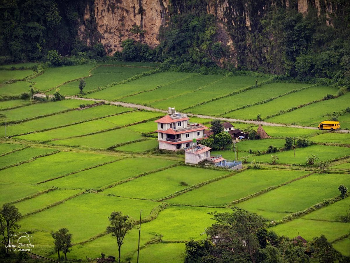 हरियाली छाएको छ खेत खलियानमा अचेल
मान्छेका घर आएको छ खेत खलियानमा अचेल
