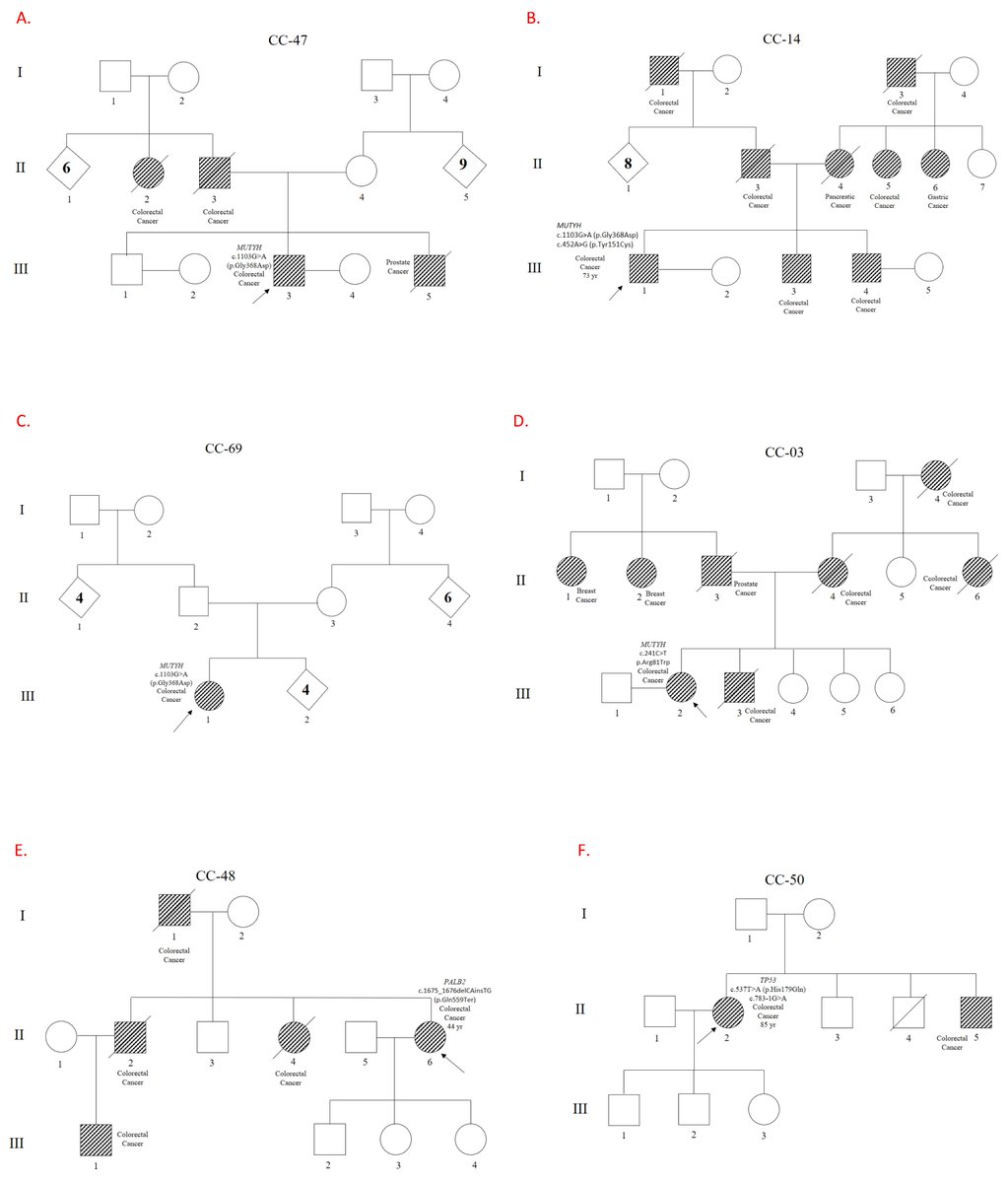 🔎This study by Iván Landires (<a href="/PhdIvan/">Ivan Landires MD PhD</a> at <a href="/ICMPanama/">Instituto de Ciencias Médicas, ICM</a>) et al. evaluated #germline #genetic #variants associated with #ColorectalCancer in the Panamanian population, in the Azuero region, which has the highest disease prevalence.
📖Read more at: mdpi.com/2073-4425/16/8…
