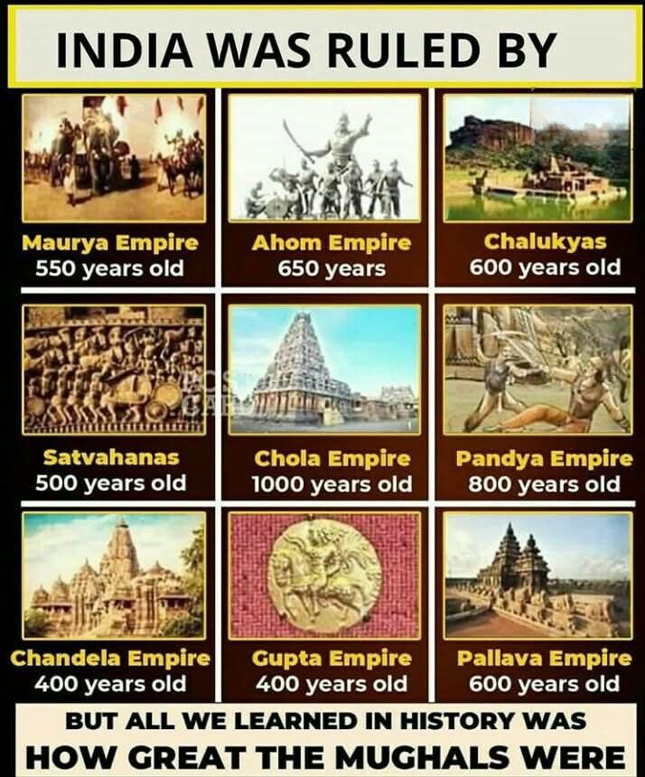 What is your opinion ?