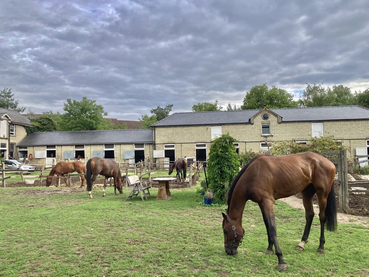 John Berry tweet media