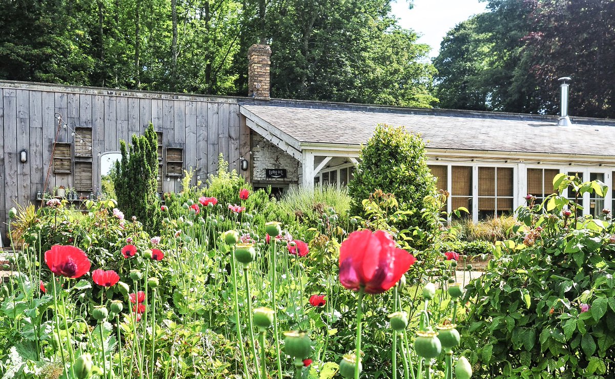 Surrounded by a stunning Victorian walled garden is Pythouse Kitchen in Tisbury. bit.ly/3Wr86oG

Within the south facing garden, you can find a myriad or plants, fruit and vegetables, all of which create a strong part of their everchanging menu.