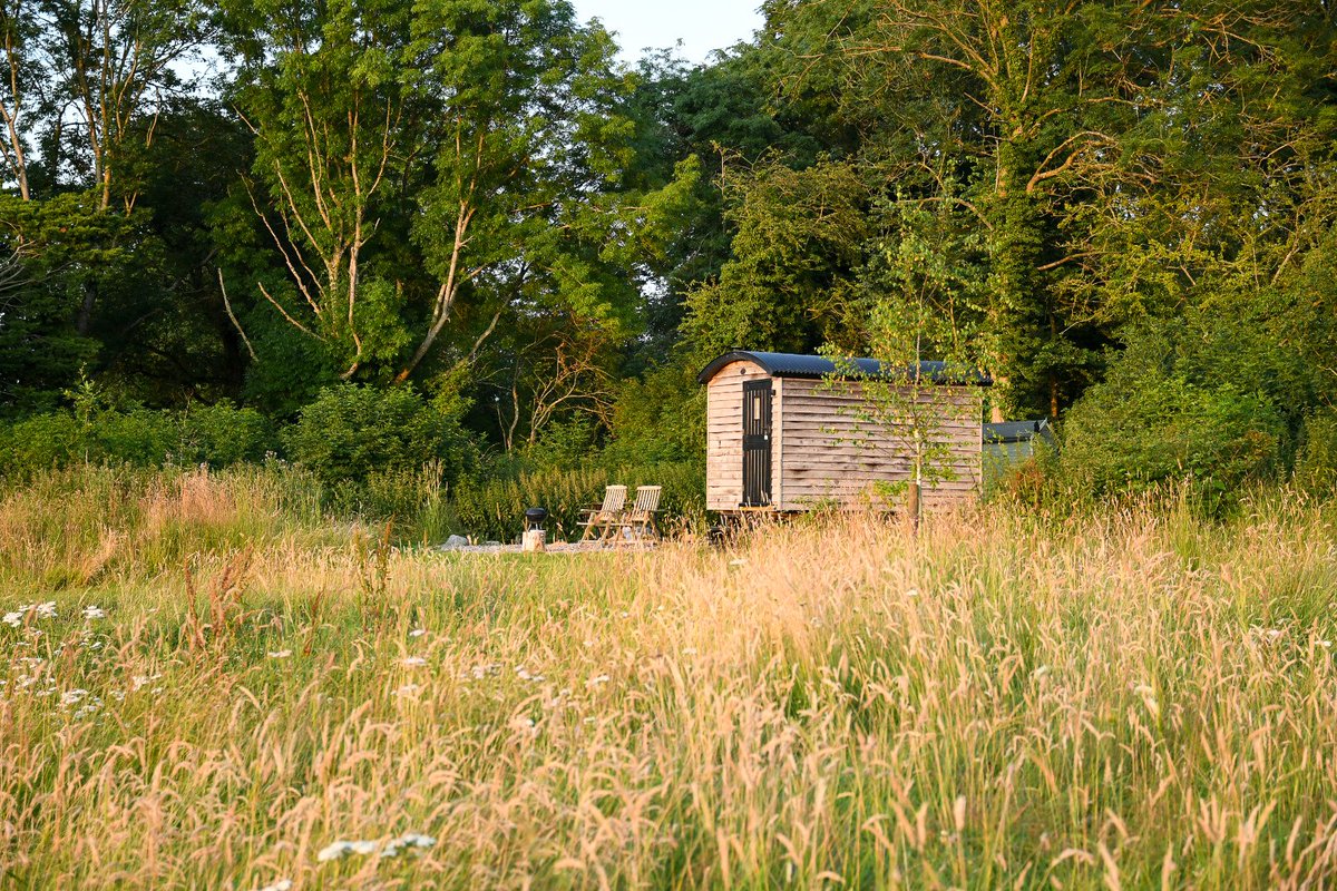 Situated on Marshwood’s Farm is The Shepherd’s Hut. Surrounded by rolling landscape, ancient woodland and an abundance of wildlife, it’s the perfect place to stay   if you are looking for a countryside escape. bit.ly/3zD0z9M