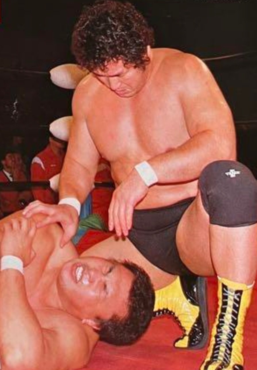 「全日本プロレス 三冠王者列伝 VOL.1」 天龍源一郎 / 川田利明 全日本プロレス 三冠王者列伝 VOL.1」 天龍源一郎 / 川田利明