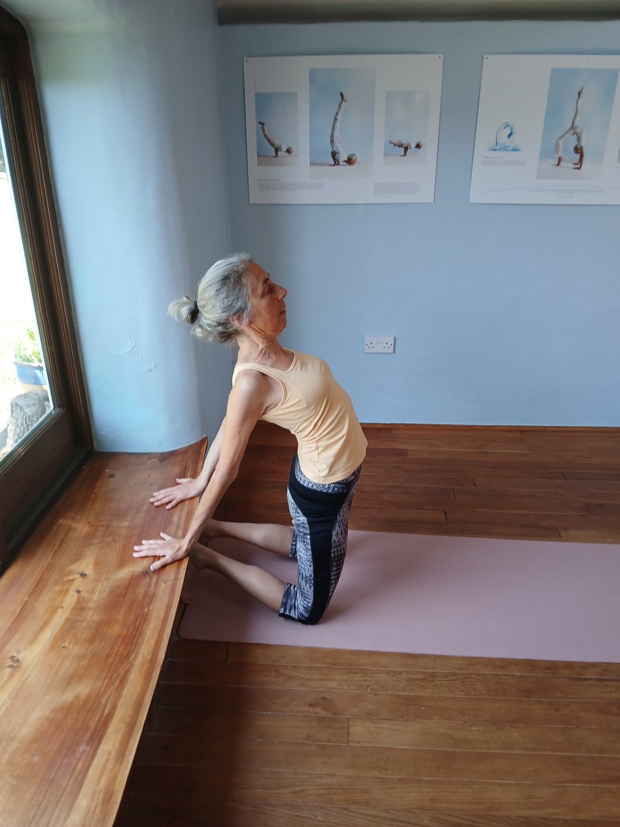 YogaInSomerset's tweet image. Pose in focus – The Camel, ustrasana

Post 11. Contra-indications and modifications for the camel

#CamelPose #Ustrasana
For all posts in the series use #thecamelustrasana