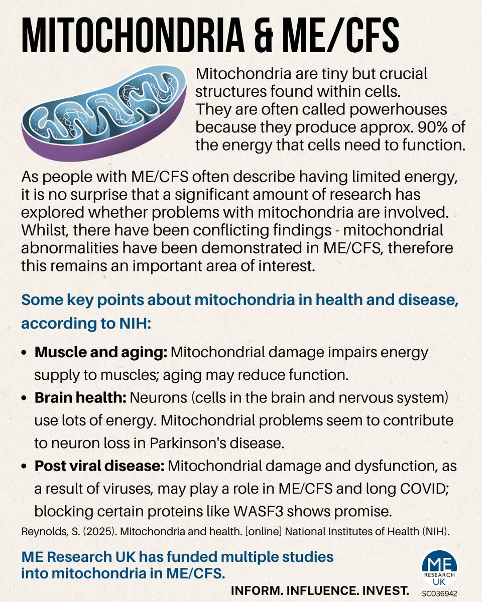 Read more about the tiny energy-producing powerhouses, known as mitochondria, including how they relate to ME/CFS and the studies ME Research UK have funded on the topic (thanks to your generosity): bit.ly/mitochondriame…