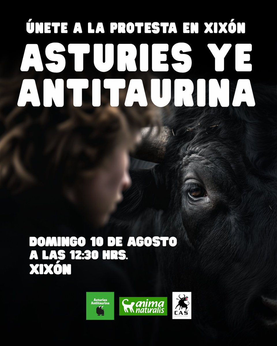 AnimaNaturalis's tweet image. 🔥 ¡Alzamos la voz contra la tauromaquia en Asturies!

💥 ¡Tu presencia es imprescindible!

@AsturiesAntitau, @AnimaNaturalis y @CAS_Int, realizamos una impactante protesta para exigir una Feria de la Begoña sin crueldad, ni tortura de animales el domingo 10 de agosto.

📅…
