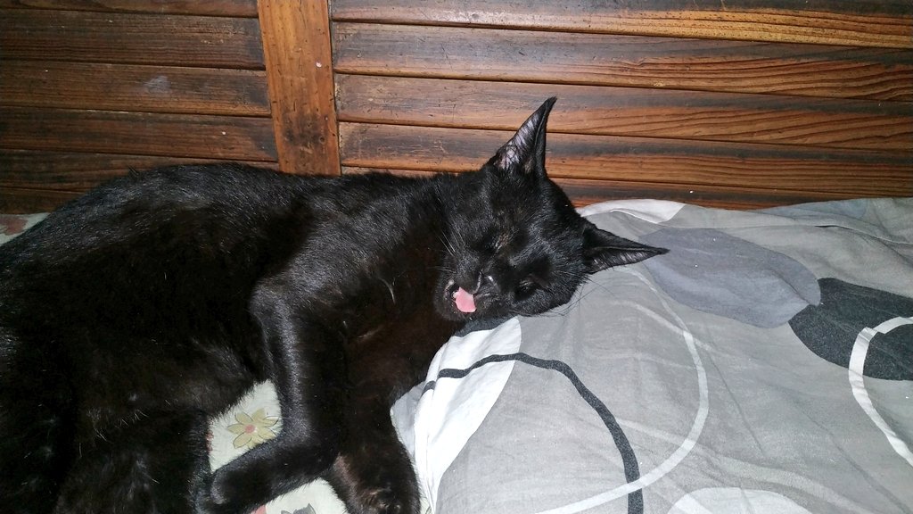 Tanvir Shah... a 💙 ♏ tweet media