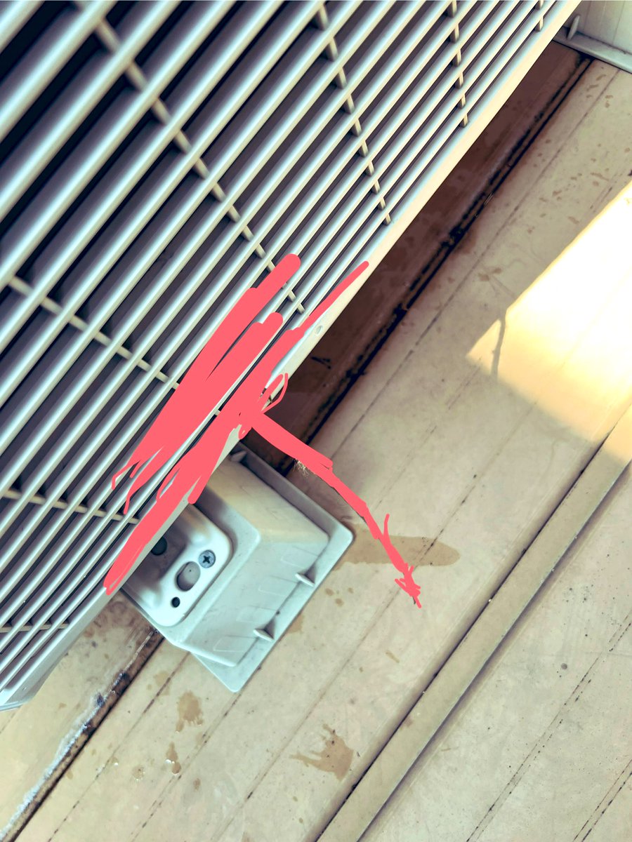 今年に入ってからエアコンの冷え具合が悪いので色々やってたのだけど、室外機を再度点検したら、下の方からなにか棒が突き出てることに気づいた。引っ張ったら毛が生えた何かの塊が中に繋がってるようだった。