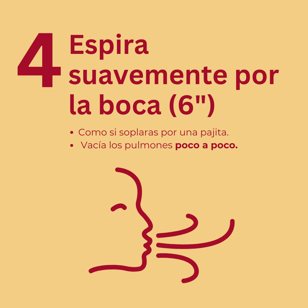 🔴 ¿Sientes fatiga o ansiedad?

Haz una pausa. Este ejercicio guiado de respiración puede ayudarte a recuperar el aliento y calmarte en 3 minutos.

Sólo necesitas un lugar tranquilo y seguir el ritmo:

1.Inspira por la nariz
2. Retén el aire unos segundos
3.Espira lentamente por
