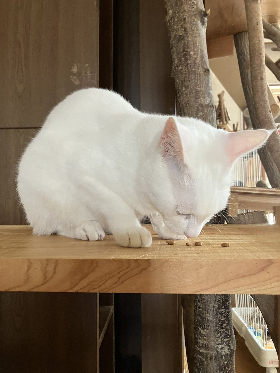 北☆さま確認ページ♡ 国税庁から差し押さえ予告が来たら！？ 怪しいSMSに要注意