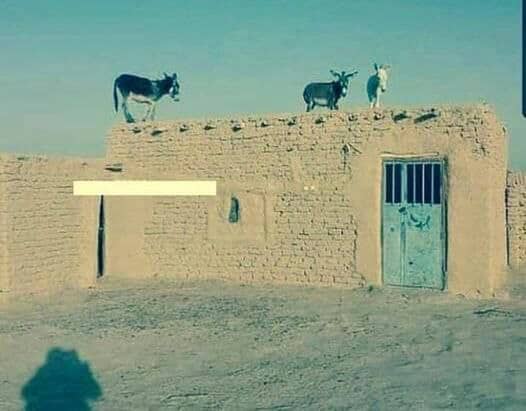 لما ترفع ناس في حياتك وتتورط بهم كيف تنزلهم🥲😹