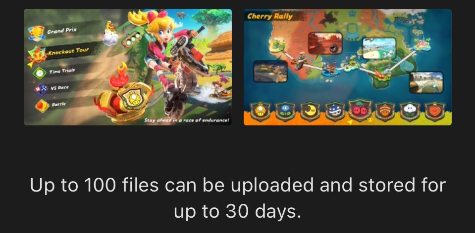 اپلیکیشن نینتندو سوییچ ماکسیموم ۱۰۰ تا عکس رو فقط ۳۰ روز نگه می‌داره.
انگار از قصد دارن تلاش می‌کنن منفور بشن.