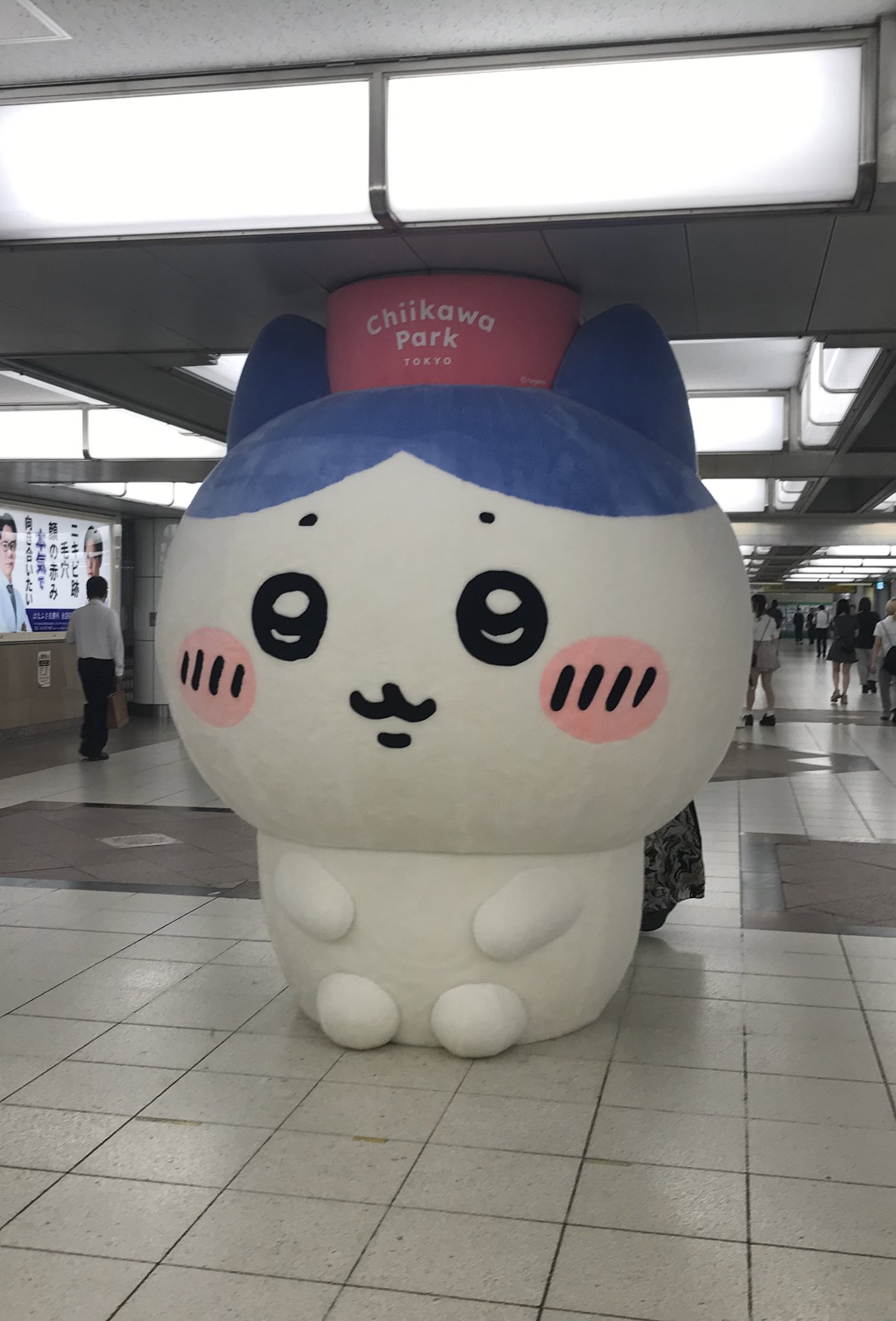 ⭐︎ハチワレ⭐︎ ちいかわ はしる！ハチワレ | おもちゃ通販のトイザらス