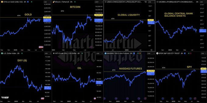 包括黄金、比特币、全球流动性及股市指数的宏观概览图表
