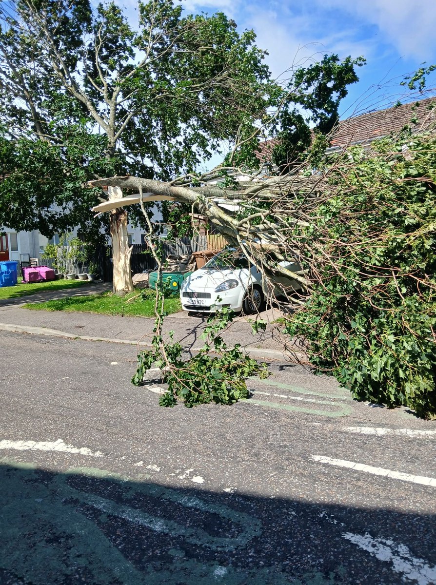 Meteovilles's tweet image. 💨 Nombreuses chutes d&apos;arbres signalées en #Écosse en lien avec la puissante #TempêteFloris qui a donné des rafales soufflant jusqu&apos;à 160 km/h sur les caps ! Images à #Forres. (via Forres Local)