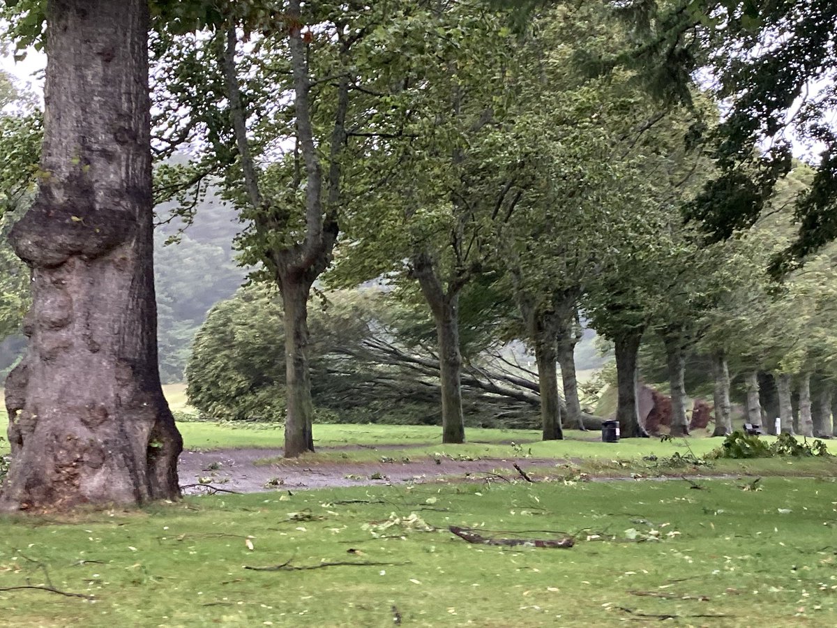 Meteovilles's tweet image. 💨 Nombreuses chutes d&apos;arbres signalées en #Écosse en lien avec la puissante #TempêteFloris qui a donné des rafales soufflant jusqu&apos;à 160 km/h sur les caps ! Images à #Forres. (via Forres Local)