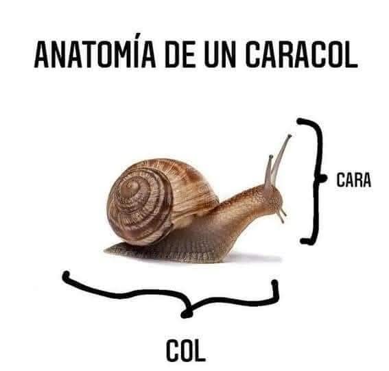 Aquí nos gusta la ciencia.