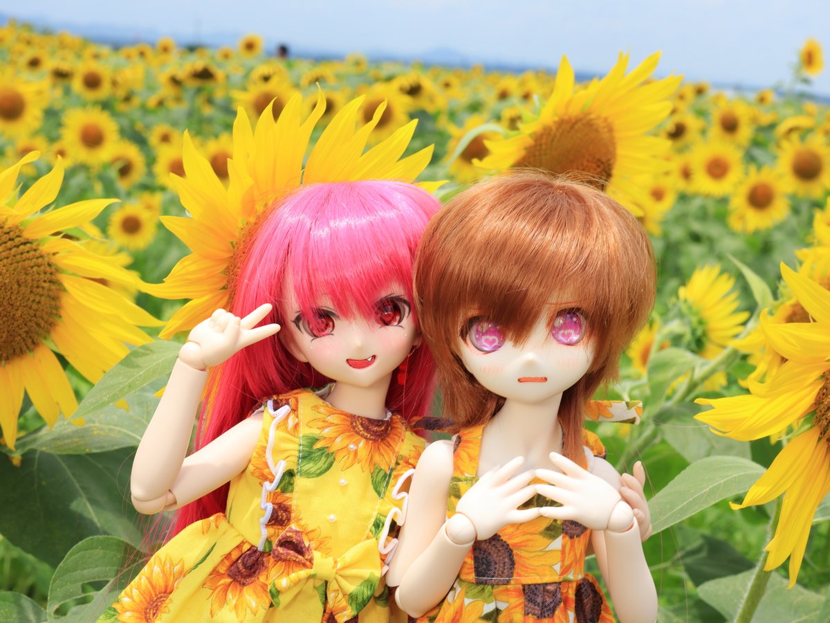 シーグラスアート『 ひまわり.。.:*～ハチくまちゃん～』 シーグラスアート『 ひまわり.。.:*～ハチくまちゃん～』 - メルカリ