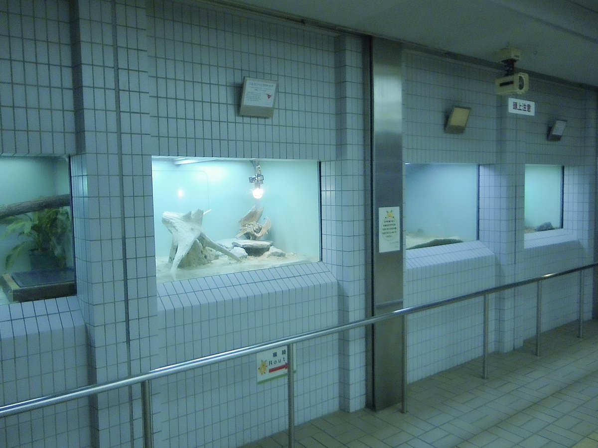 #6 (@nnuf22) on Twitter photo 