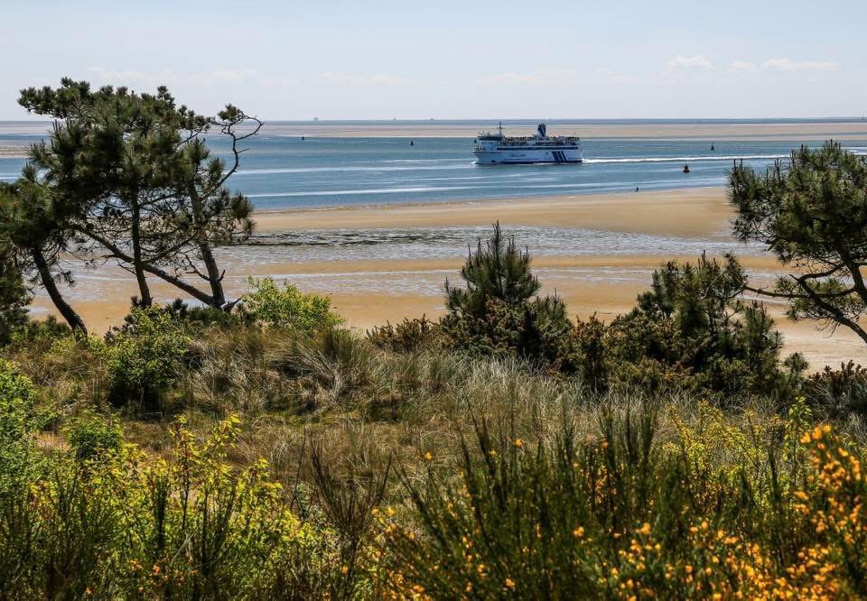 Rondje Terschelling 2025 [22] 🌤️🌬️Z3🚶‍♂️ + Rondje Terschelling 2025 [23] 🌤️🌬️Z3🚶‍♂️ + Rondje Terschelling 2025 [21] 🌤️🌬️Z3🚵‍♂️