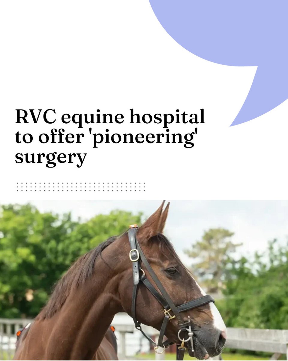 RVC equine hospital to offer 'pioneering' surgery

 vettimes.com/news/vet-nursi…