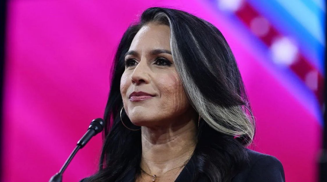 DNI Tulsi Gabbard has revoked the security clearance for Kamala Harris, Hillary Clinton, Liz Cheney, Adam Kinzinger, and more.  Do you support Tulsi Gabbard for this?