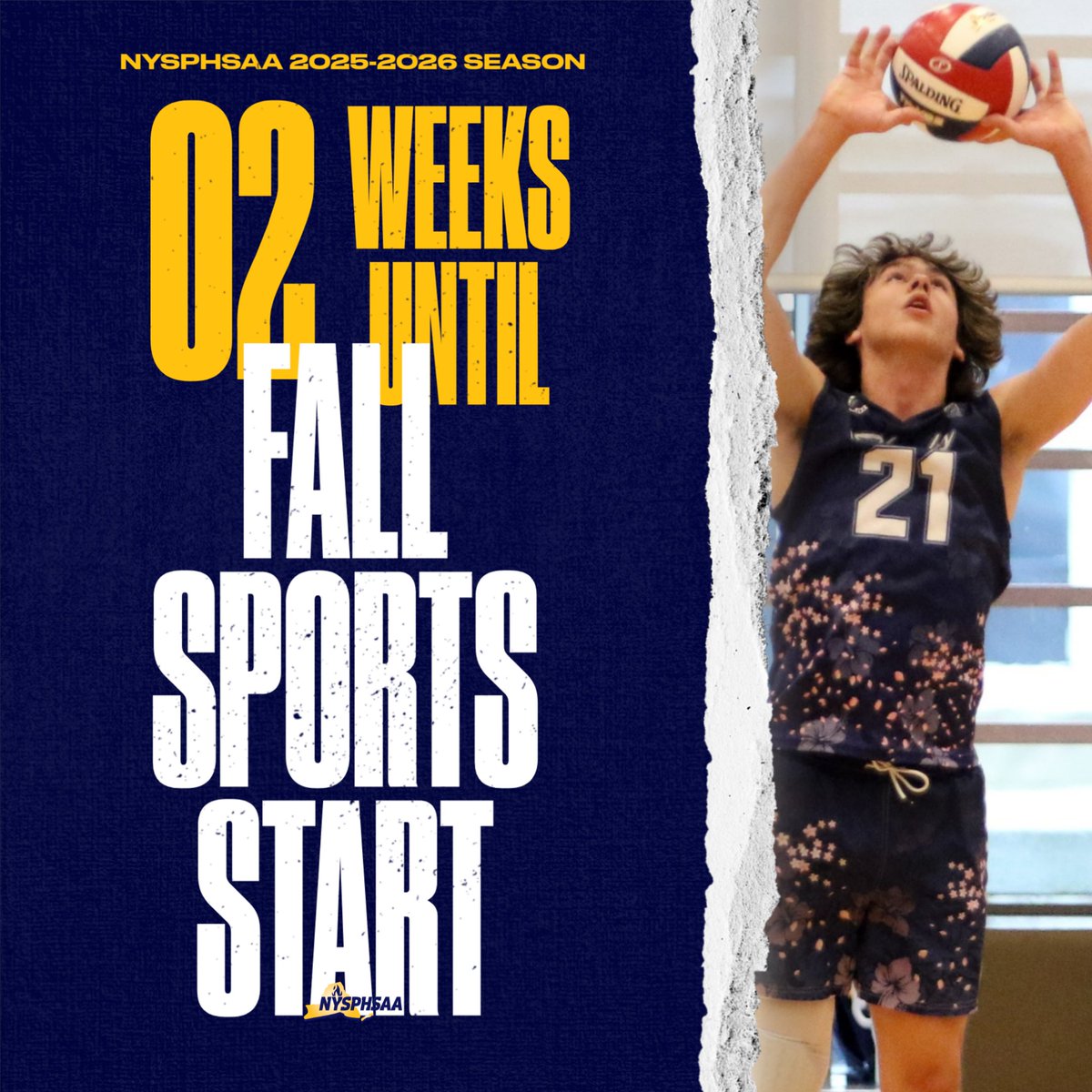 ✌ weeks to FALL!

Who else can't wait?! 🙋‍♂️