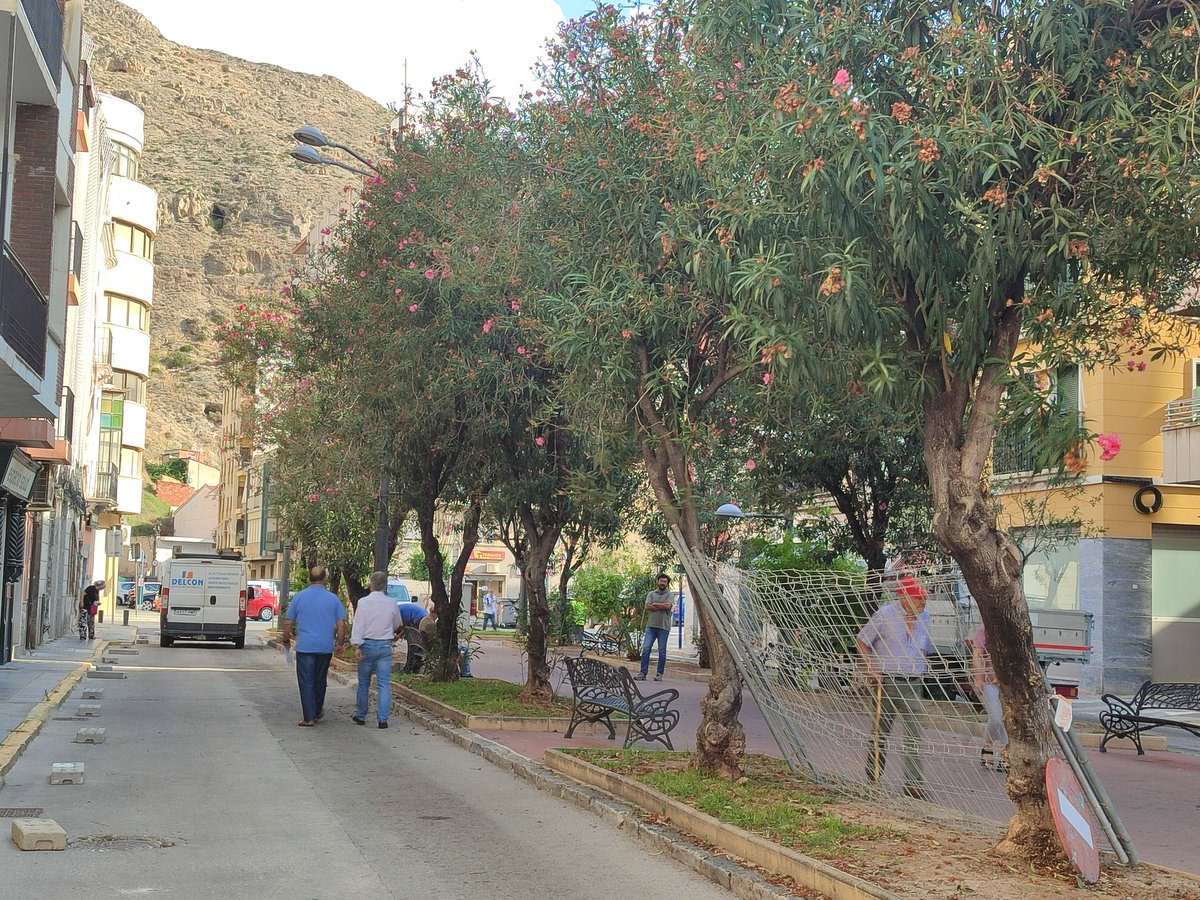 🚧 Orihuela inicia las obras de reurbanización de El Paseo 🚧

#Orihuela 
#obraspaseo
#revitalizar 

orihuela.es/el-ayuntamient…