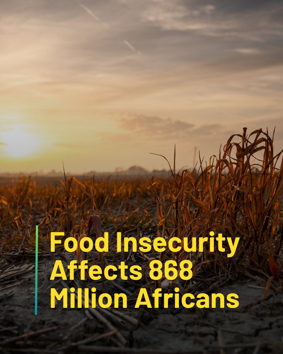 Policy Brief Out!

"What is the Missing Ingredient?" unpacks Germany’s 2025 strategy for agricultural cooperation with Africa and the critical gaps it still needs to address.

✅ Why food sovereignty matters
✅ How agroecology can transform systems
✅ Why focusing on "food