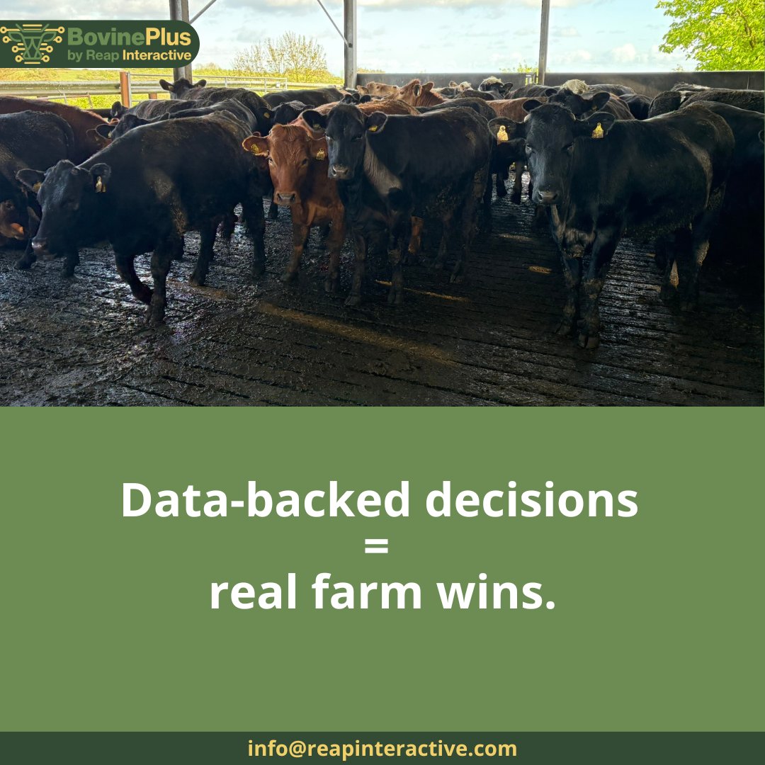 Every good decision starts with better data.
BovinePlus gives you live weight, water intake, feed efficiency, and health signals — so you can act early, save money, and boost performance.

#BovinePlus #SmartFarming #livestockmonitoring #innovations #IrishFarming