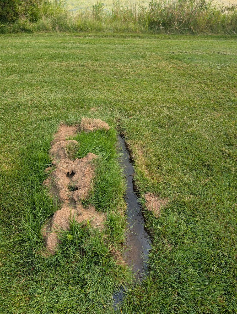 I guess this is one way to fix the problem caused by a leaky head🤣