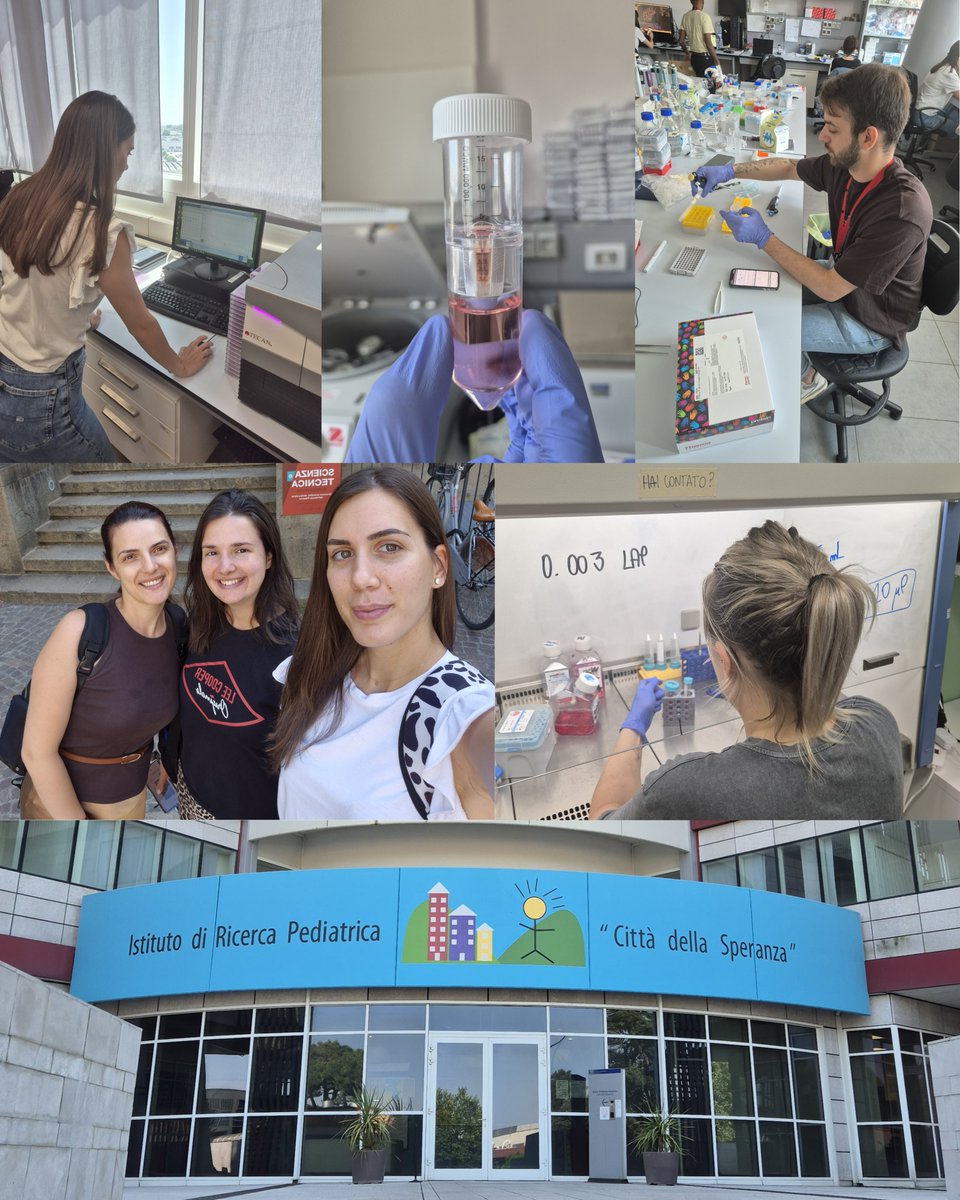 Ipanema2020 (@ipanema_2020) on Twitter photo #IPANEMA2020 Storytime
Aleksandra, Minja, Mirjana & Marija from <a href="/BioSenseRS/">BioSense Institute</a> kicked off their journeys at <a href="/MycoMedica/">MycoMedica</a> . Aleksandra explored nanoparticle skin penetration @ University of Maribor. Minja, Mirjana & Marija trained in nanotech & 3D bioprinting <a href="/UniPadova/">Università di Padova</a> #IPANEMA2020 Storytime
Aleksandra, Minja, Mirjana & Marija from <a href="/BioSenseRS/">BioSense Institute</a> kicked off their journeys at <a href="/MycoMedica/">MycoMedica</a> . Aleksandra explored nanoparticle skin penetration @ University of Maribor. Minja, Mirjana & Marija trained in nanotech & 3D bioprinting <a href="/UniPadova/">Università di Padova</a>