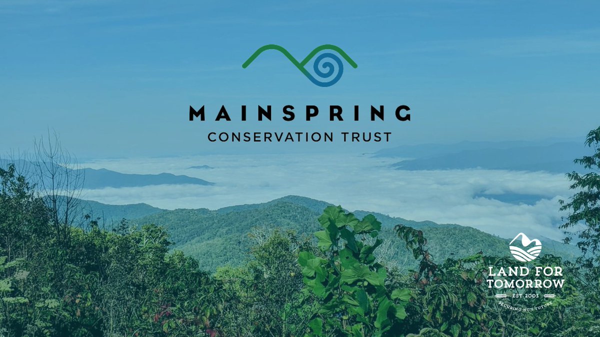 Land for Tomorrow (@land4tomorrow) on Twitter photo Did you know LFT member <a href="/MainspringCT/">Mainspring Conservation Trust</a> conserves land across 7 counties in western NC & Rabun Co., GA? It protects farmland, forests & water in the Southern Blue Ridge and helps connect people to the land.
Learn more: buff.ly/3oGYamJ #Conservation
#SouthernBlueRidge Did you know LFT member <a href="/MainspringCT/">Mainspring Conservation Trust</a> conserves land across 7 counties in western NC & Rabun Co., GA? It protects farmland, forests & water in the Southern Blue Ridge and helps connect people to the land.
Learn more: buff.ly/3oGYamJ #Conservation
#SouthernBlueRidge