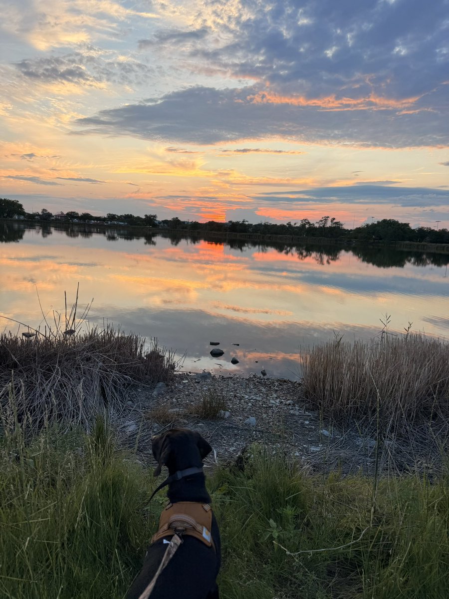 Peace no longer has to fight for space. There’s depth in the pain. There’s purpose in the process. Seasons of struggle bring the most growth, even when we can’t see it right away. God is present. Quiet. Steady. Faithful. Grace doesn’t rush. Light finds its way back in. Always.