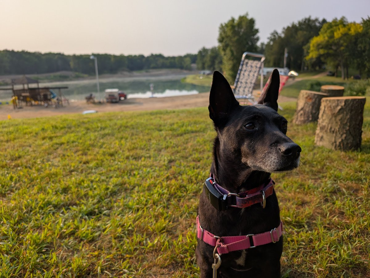 So <a href="/LakeSatoshi/">Lake Satoshi</a> is easily the best Bitcoiner family event. So many kids splashing around in the lake, playing w/doggos, paddle boarding, kayaking, jumping off the diving boards, roasting smores.

All in a super-safe, friendly environment.