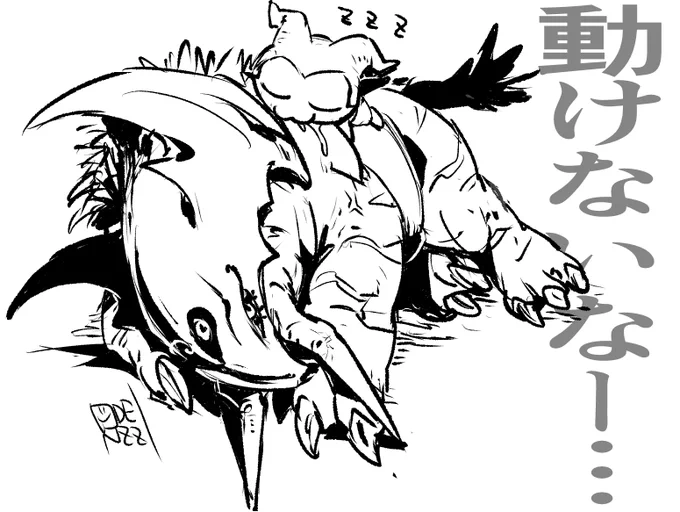 セトモンやさしいね 