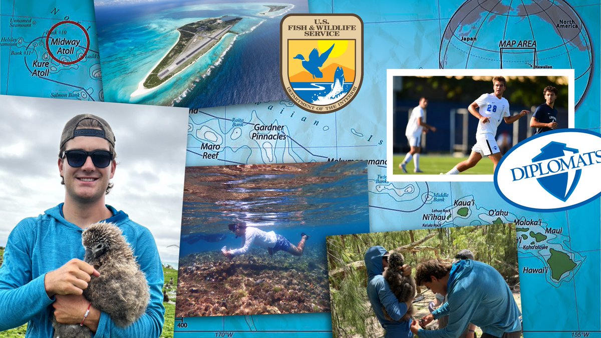 Owen Sobel ’24 swapped soccer cleats for hiking boots to pursue a rewarding career in field research and conservation.

A former midfielder for the Diplomats, Sobel is a U.S. Fish &amp; Wildlife biological technician at Midway Atoll National Wildlife Refuge.

pulse.ly/g6pt0la75g