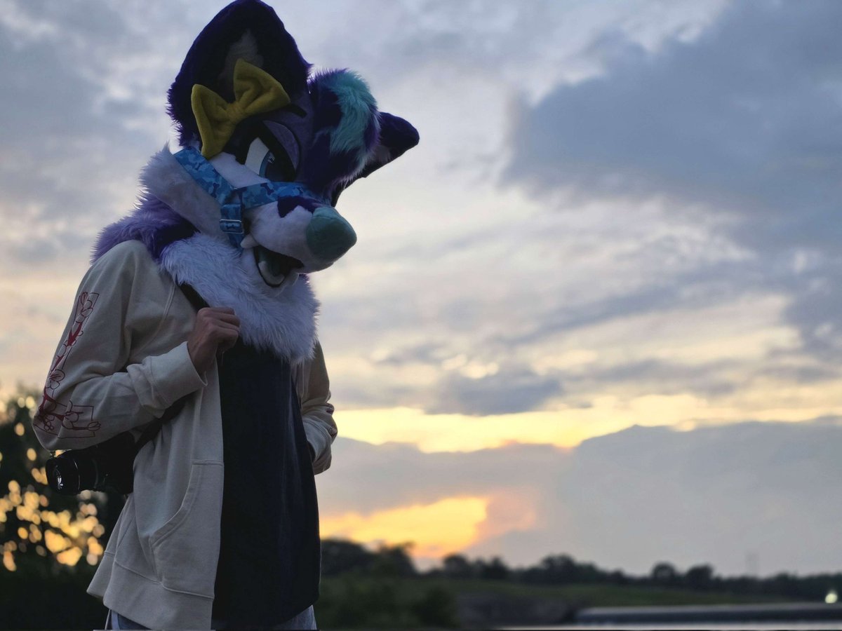Are you coming?

I forgot my fursuit friday post qwq

🪡 StardustFoxArt