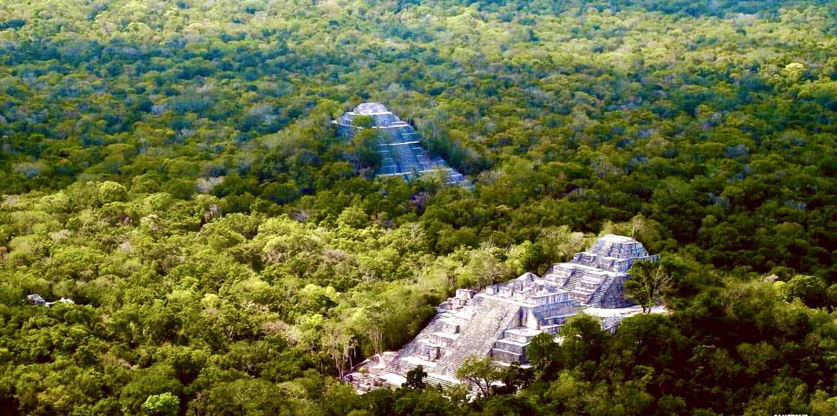 🎉 ¡Hoy es el Día Nacional de #Calakmul! 🌳 🐆

Descubre la grandeza de esta milenaria ciudad maya ubicada en #Campeche, declarada como primer Patrimonio Mixto de la Humanidad por la UNESCO. Sumérgete en su historia, admira su majestuosa arquitectura con grandes plazas
