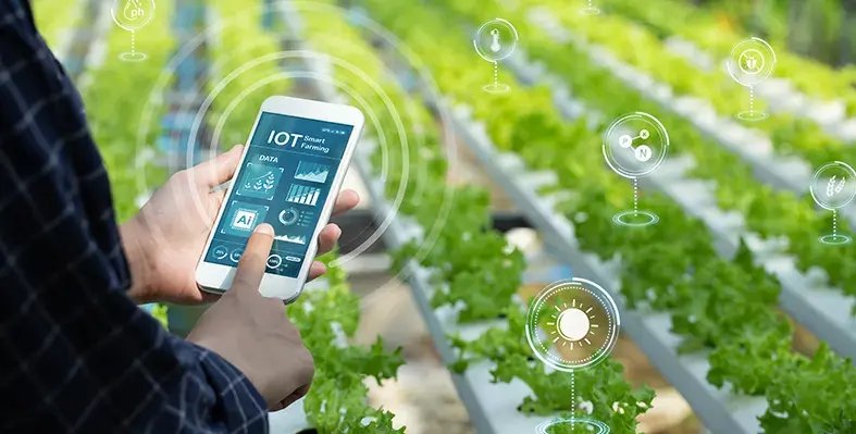Far Eastern Agriculture (@feagriculture) on Twitter photo From streets to fields!
Unitree’s Go2 robot is stepping into smart farming, helping tackle labor shortages with AI-powered crop monitoring and real-time data collection.
Read More on <a href="/FEAgriculture/">Far Eastern Agriculture</a> : zurl.co/vKamL
#SmartFarming #AgriTech From streets to fields!
Unitree’s Go2 robot is stepping into smart farming, helping tackle labor shortages with AI-powered crop monitoring and real-time data collection.
Read More on <a href="/FEAgriculture/">Far Eastern Agriculture</a> : zurl.co/vKamL
#SmartFarming #AgriTech